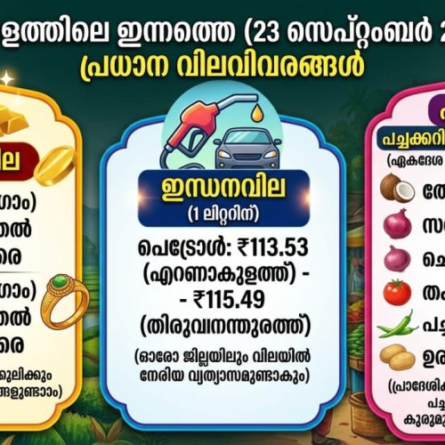 WhatsApp Image 2026-09-23 at 11.50.03 AM