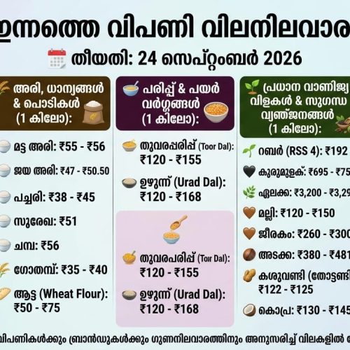 WhatsApp Image 2026-09-24 at 12.00.43 PM