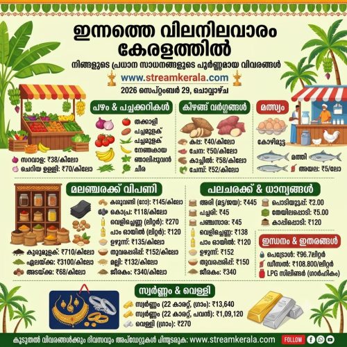 WhatsApp Image 2026-09-29 at 2.43.55 PM